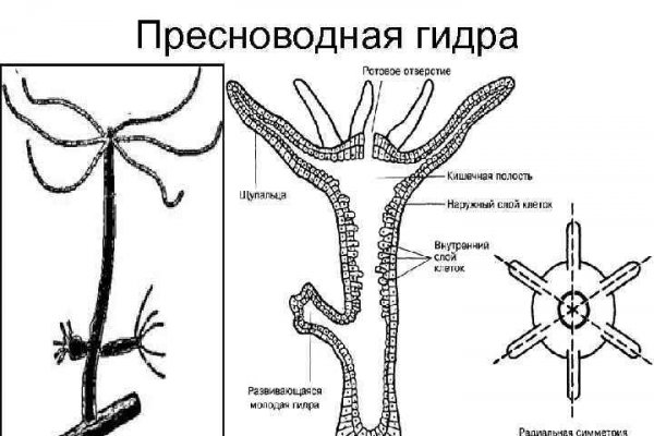 Кракен актуальная ссылка на сегодня