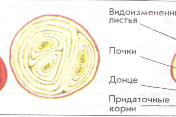 Как зайти на кракен в тор браузере