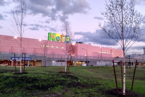 Кракен ссылка прокатис