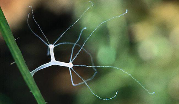 Кракен маркетплейс это