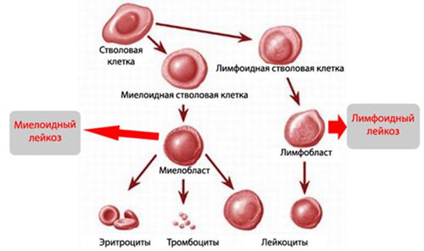 Как восстановить страницу на кракене